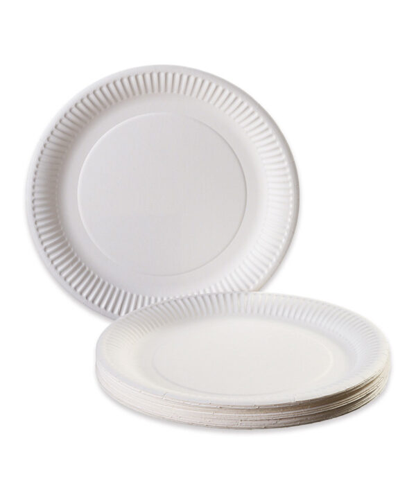 Assiette en carton